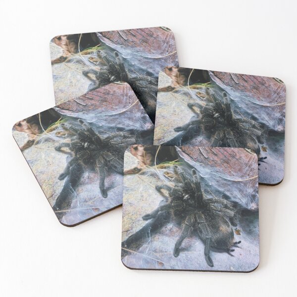 Item preview, Brazilian Salmon Pink Bird-Eating Tarantula designed and sold by FeralMinds.