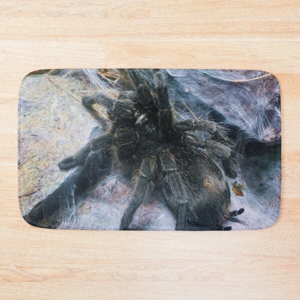 Item preview, Brazilian Salmon Pink Bird-Eating Tarantula designed and sold by FeralMinds.