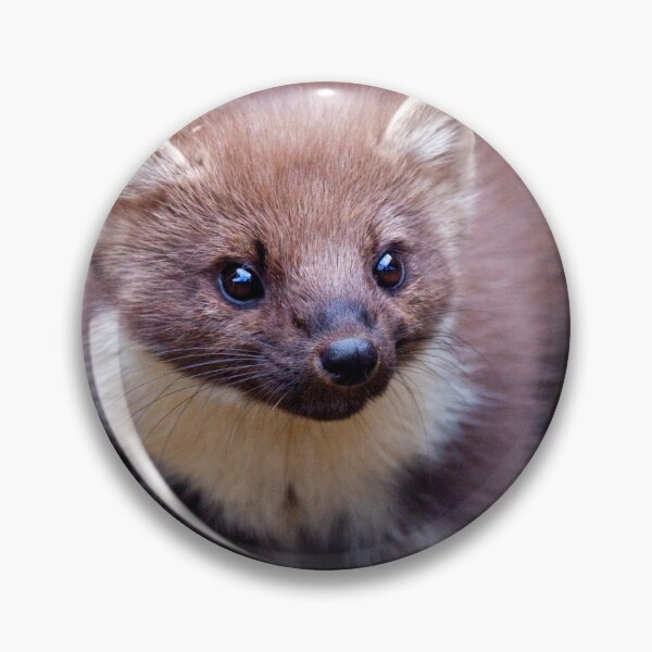 Item preview, Pine Marten designed and sold by Krys Bailey.