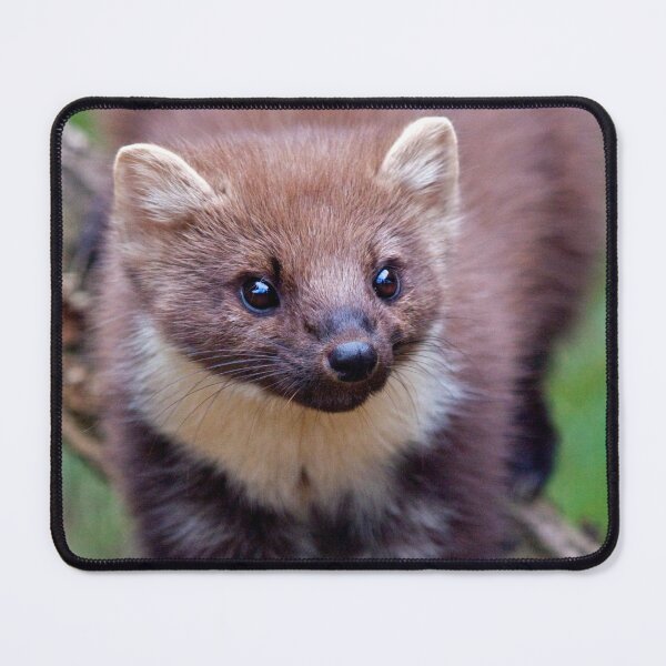 Item preview, Pine Marten designed and sold by Krys Bailey.