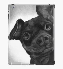 BELLA/ Miniature Pinscher iPad Case/Skin