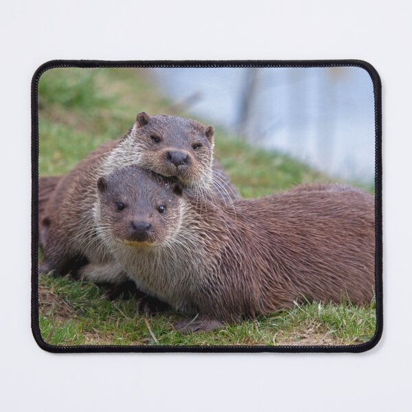 Item preview, Otterly in Love (European Otters) designed and sold by Krys Bailey.