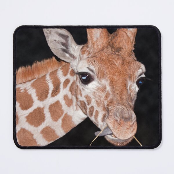 Item preview, Hay There! :o) designed and sold by Krys Bailey.