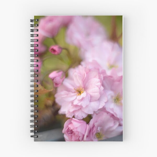 Item preview, Cherry Blossom on a park bench designed and sold by Susan Reilly.