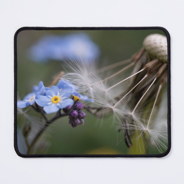Item preview, Forget-Me Not being hugged by a dying Dandelion designed and sold by Susan Reilly.