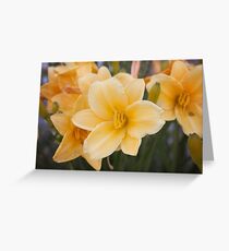 Lillies Greeting Card