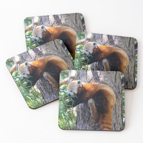 Item preview, Snack time for red panda designed and sold by elstoleno.