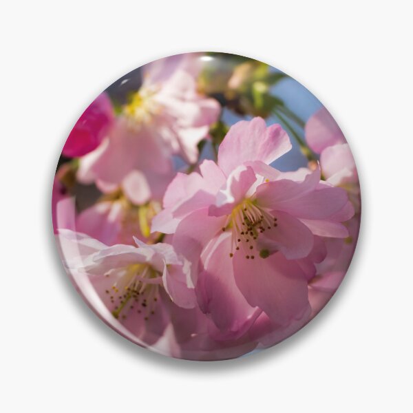 Item preview, Pink Cherry Blossom  designed and sold by Susan Reilly.