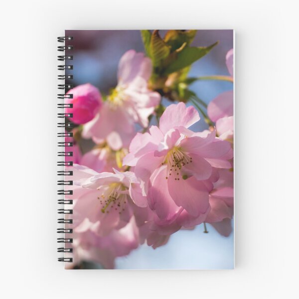 Item preview, Pink Cherry Blossom  designed and sold by Susan Reilly.