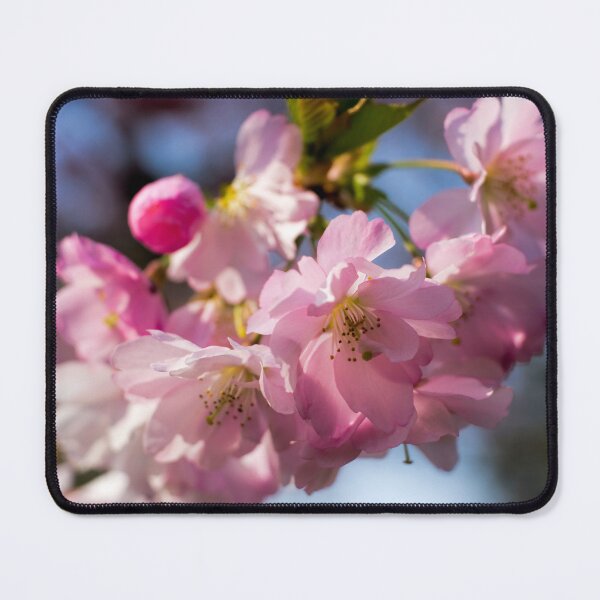 Item preview, Pink Cherry Blossom  designed and sold by Susan Reilly.