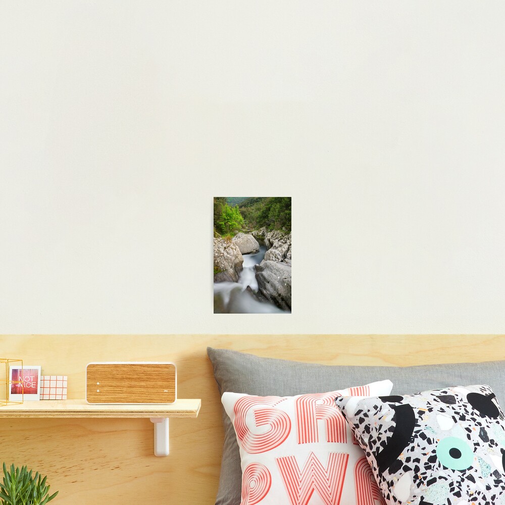 Flow in the Verne river Photographic Print