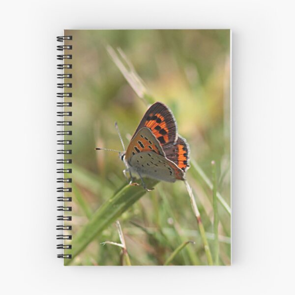 Item preview, Small copper butterfly designed and sold by Linda Crockett.
