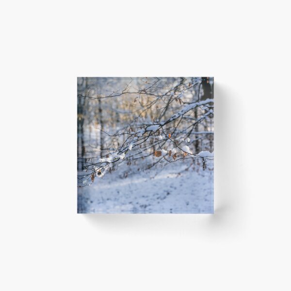 Item preview, Snowy woodland with branches with Beech Leaves hanging on designed and sold by Susan Reilly.
