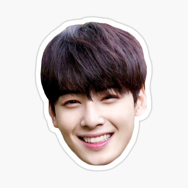 Cha Eunwoo Merch Gifts for Sale Redbubble