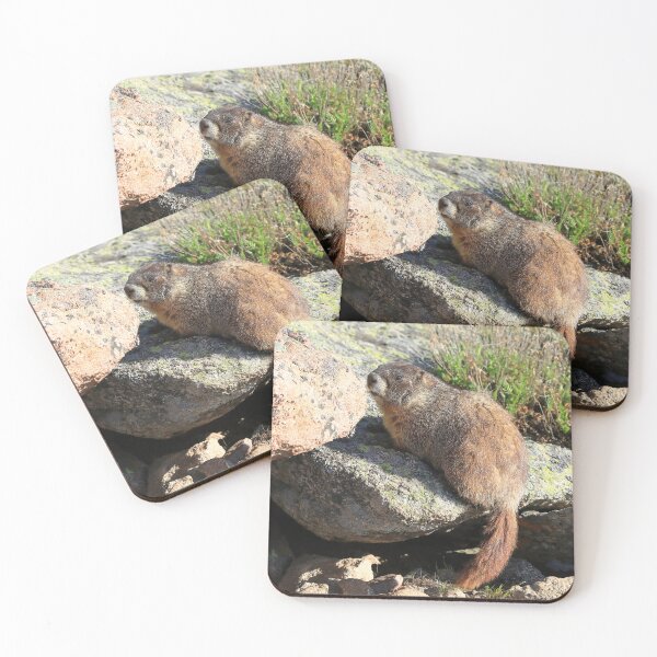 Item preview, Marmot look designed and sold by zumi.