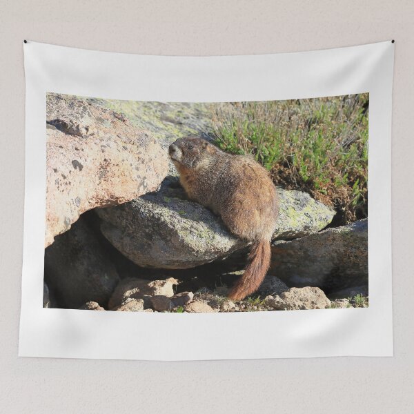 Item preview, Marmot look designed and sold by zumi.