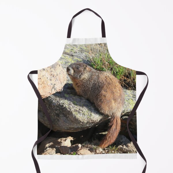 Item preview, Marmot look designed and sold by zumi.