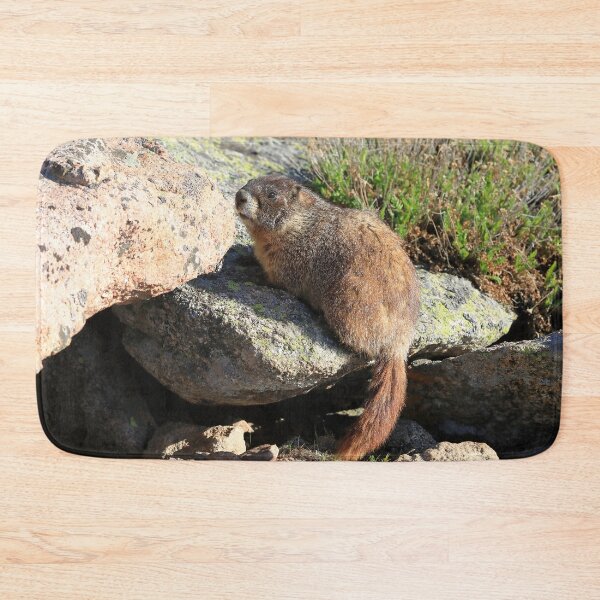 Item preview, Marmot look designed and sold by zumi.
