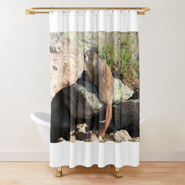 Item preview, Marmot look designed and sold by zumi.