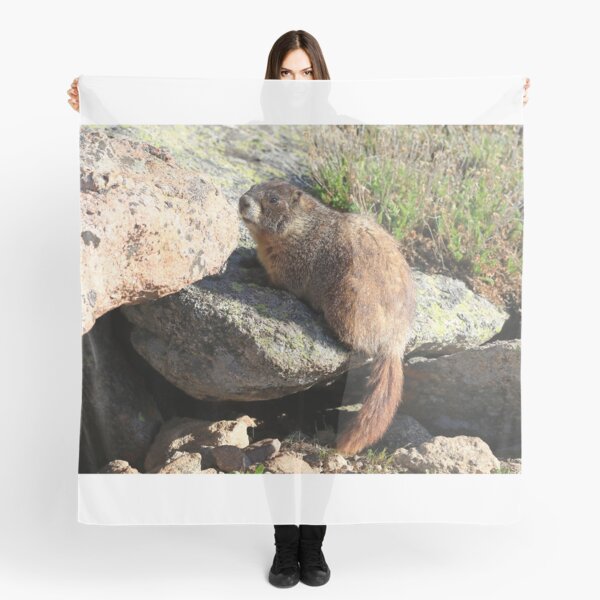 Item preview, Marmot look designed and sold by zumi.
