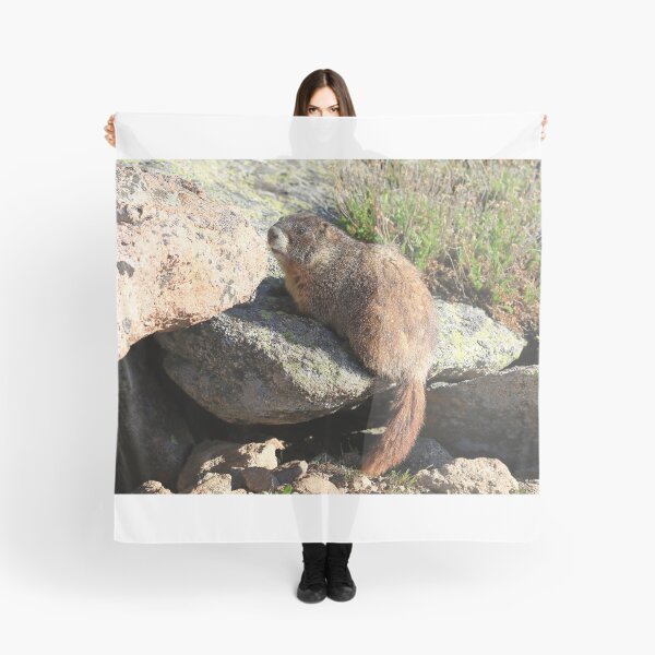 Item preview, Marmot look designed and sold by zumi.