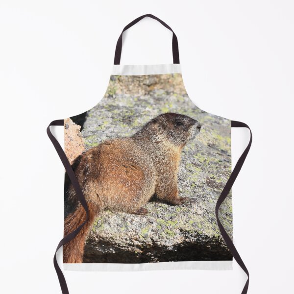 Item preview, Marmot look II designed and sold by zumi.