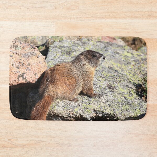 Item preview, Marmot look II designed and sold by zumi.
