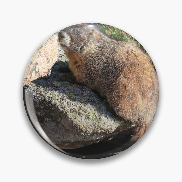 Item preview, Marmot look designed and sold by zumi.