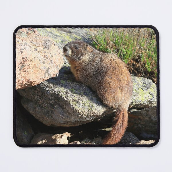 Item preview, Marmot look designed and sold by zumi.