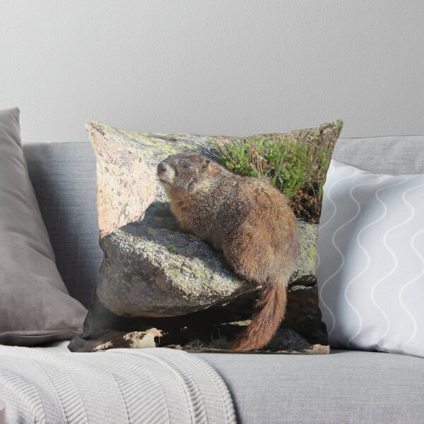 Item preview, Marmot look designed and sold by zumi.
