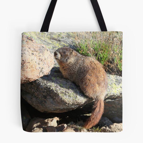 Item preview, Marmot look designed and sold by zumi.
