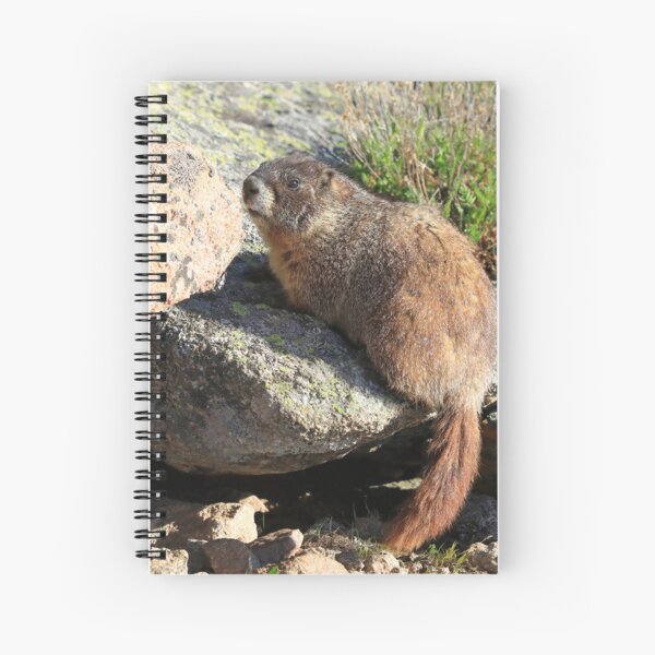 Item preview, Marmot look designed and sold by zumi.
