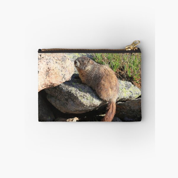 Item preview, Marmot look designed and sold by zumi.