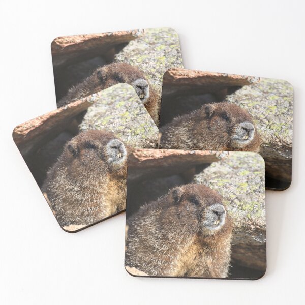 Item preview, Marmot teeth designed and sold by zumi.