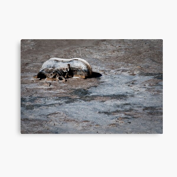 Das Boot Canvas Print