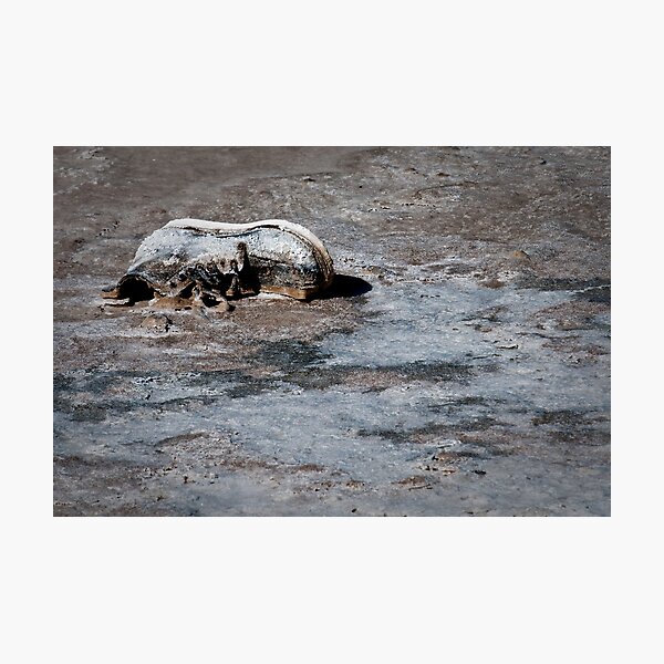 Das Boot Photographic Print