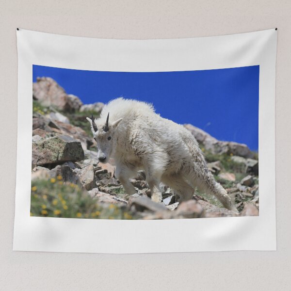 Item preview, Furry goat designed and sold by zumi.