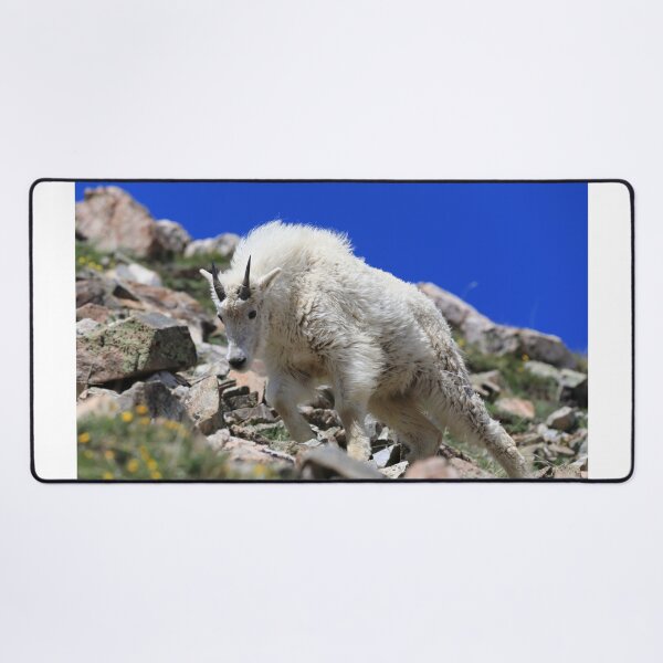 Item preview, Furry goat designed and sold by zumi.