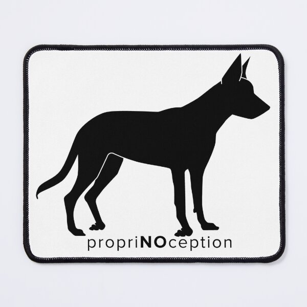 Item preview, propriNOception designed and sold by introVETed.