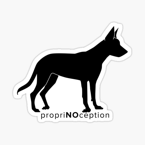 Item preview, propriNOception designed and sold by introVETed.