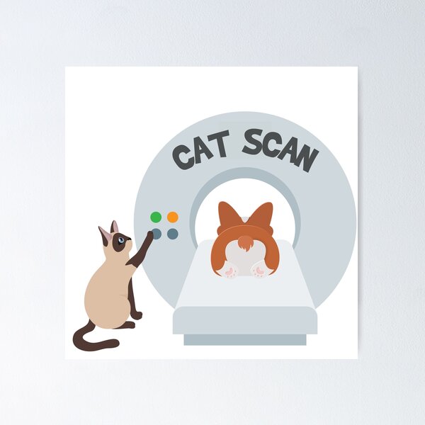 Item preview, Cat Scan  designed and sold by introVETed.