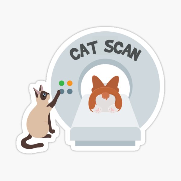Item preview, Cat Scan  designed and sold by introVETed.