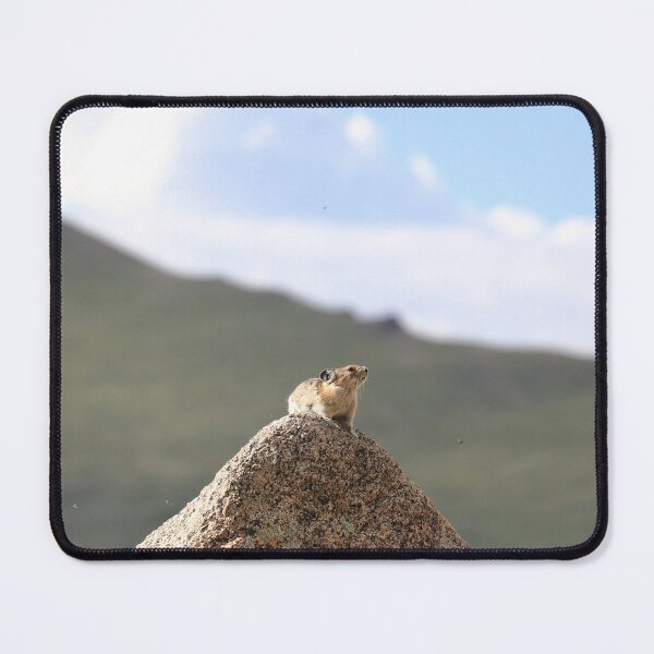 Item preview, Pika lookout designed and sold by zumi.