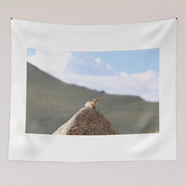 Item preview, Pika lookout designed and sold by zumi.