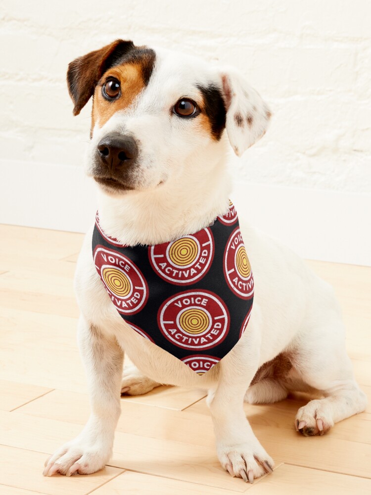 Voice activated shop dog collar