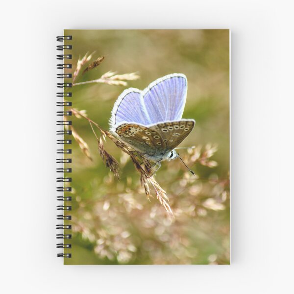 Artikelvorschau, Gemeiner blauer Schmetterling entworfen und verkauft von HRShepherd.