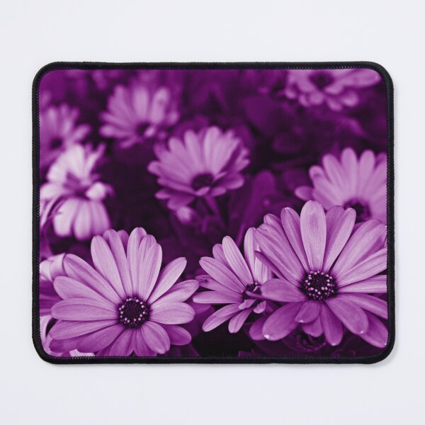 Item preview, Boho Soul Daisies in Violet designed and sold by Trish Dish.