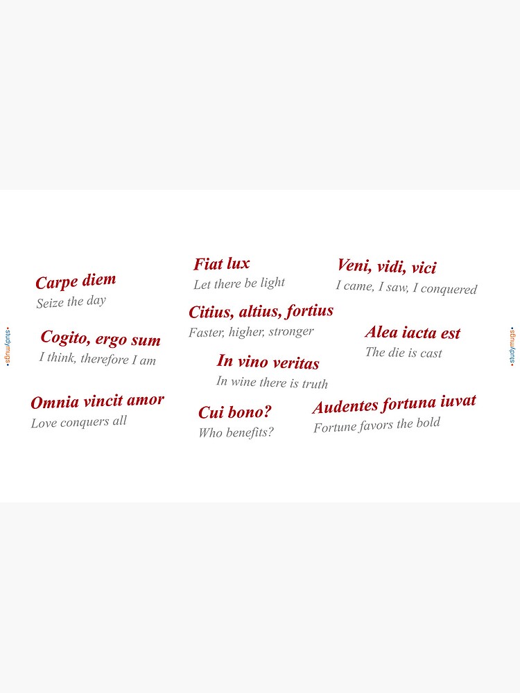 Thumbnail 6 of 6, Coffee Mug, Latin Phrases Study Mug designed and sold by ApplicVision.