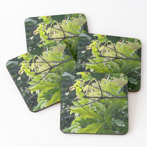 Item preview, Outside Vines Growing on Lilac Tree designed and sold by FeistyDay.