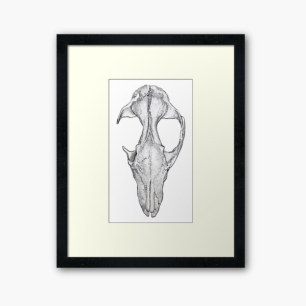 Fox Skull Framed Art Print